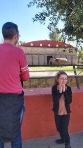 Zoo di Napoli una giornata in famiglia tra animali, natura e divertimento 2