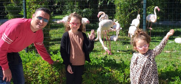 Zoo di Napoli una giornata in famiglia tra animali, natura e divertimento